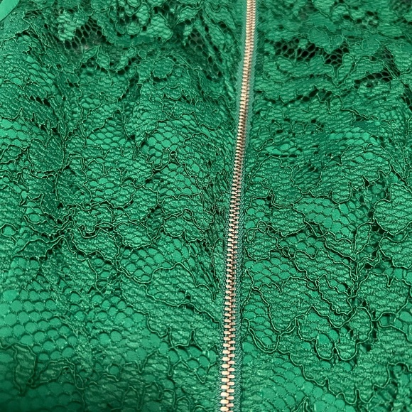 The Limited lined lace dress - Picture 4 of 7